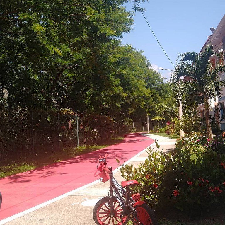 Loft aconchegante com sol da manhã e vista exclusiva. Seu re