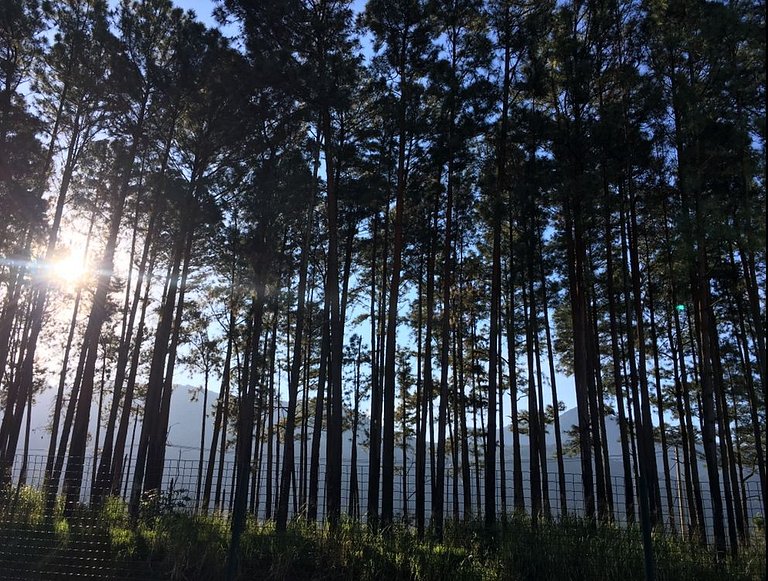 Loft aconchegante com sol da manhã e vista exclusiva. Seu re