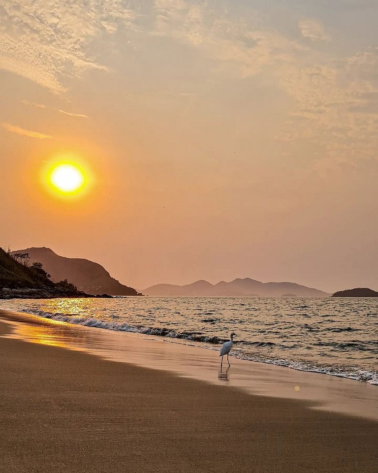 Reserva do Sahy, Condado: Vista deslumbrante