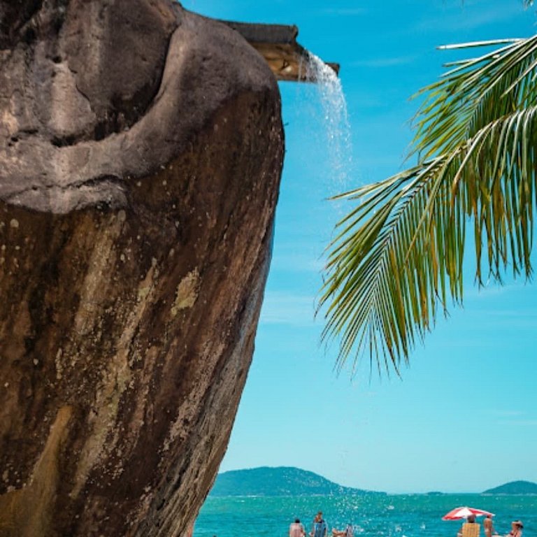 Reserva do Sahy, Condado: Vista deslumbrante