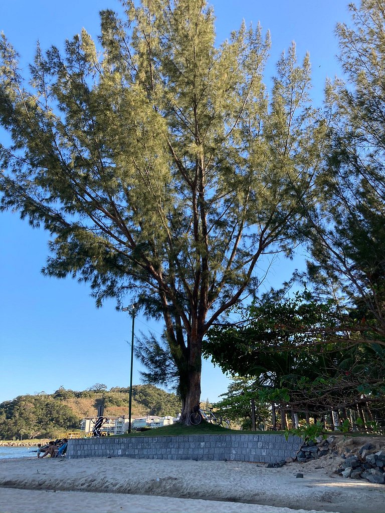 Loft aconchegante com sol da manhã e vista exclusiva. Seu re