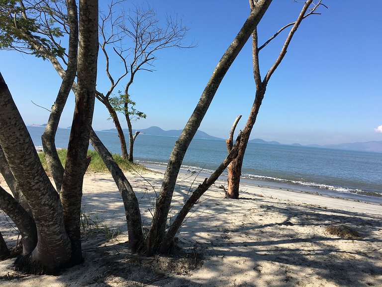 Reserva do Sahy, Condado: Vista deslumbrante