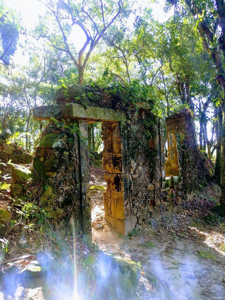 Reserva do Sahy, Condado: Luxo e conforto