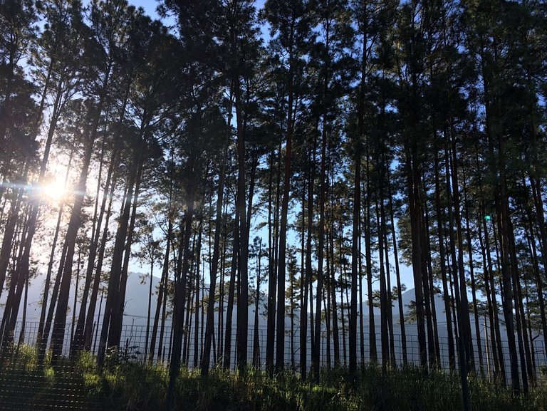 Apartamento de alto padrão na Reserva do Sahy com vista excl