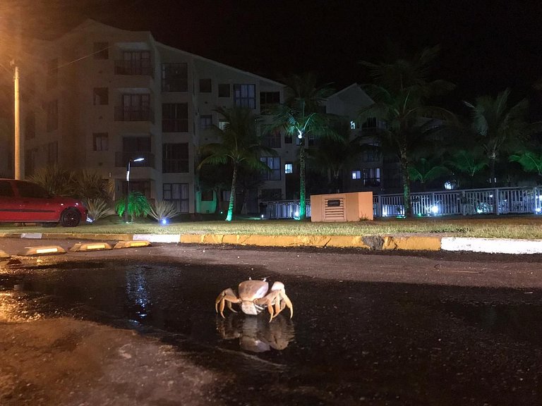 Apartamento de alto padrão na Reserva do Sahy com vista excl