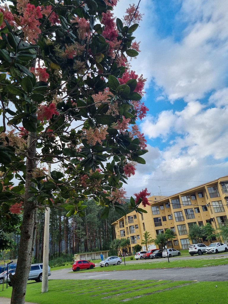 Reserva do Sahy, Condado: Apartamento térreo