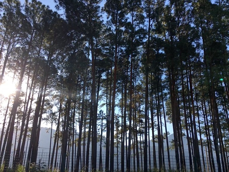 Reserva do Sahy: Apto Moderno com Vista Piscina