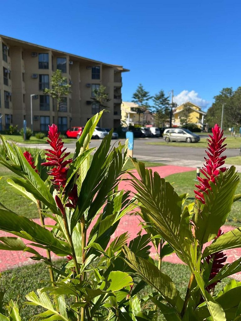 Loft no Sahy: aproveite praia, piscina e cachoeira