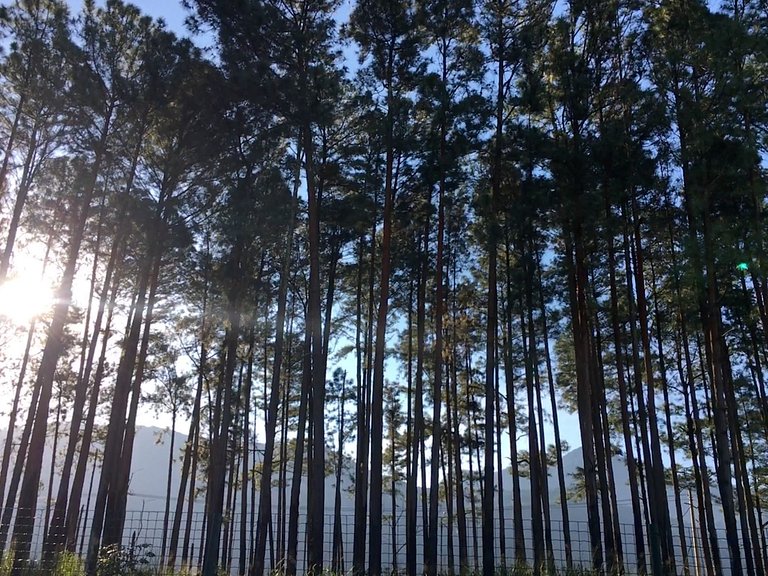 Reserva do Sahy, Condado: conforto e fácil acesso
