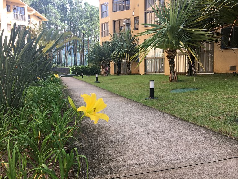 Reserva do Sahy, Condado: conforto e fácil acesso