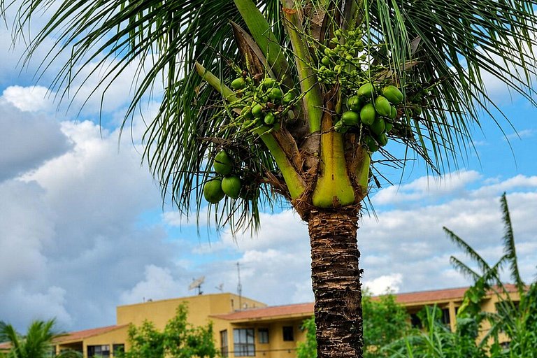 Reserva do Sahy, Condado: Vista deslumbrante